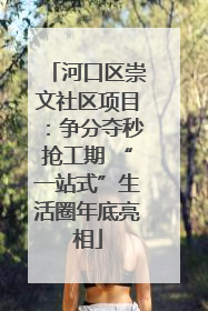 河口区崇文社区项目：争分夺秒抢工期 “一站式”生活圈年底亮相