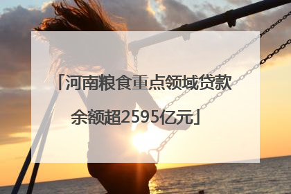 河南粮食重点领域贷款余额超2595亿元