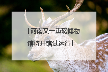 河南又一重磅博物馆将开馆试运行