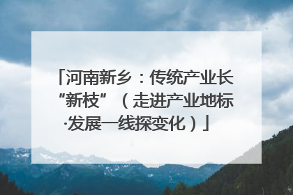河南新乡：传统产业长“新枝”（走进产业地标·发展一线探变化）