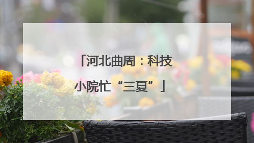 河北曲周：科技小院忙“三夏”