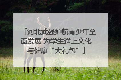 河北武强护航青少年全面发展 为学生送上文化与健康“大礼包”