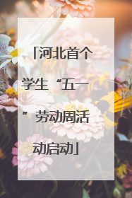 河北首个学生“五一”劳动周活动启动