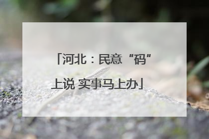 河北：民意“码”上说 实事马上办