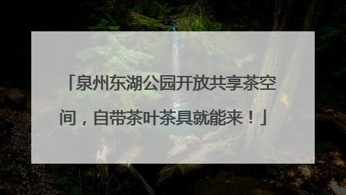 泉州东湖公园开放共享茶空间，自带茶叶茶具就能来！