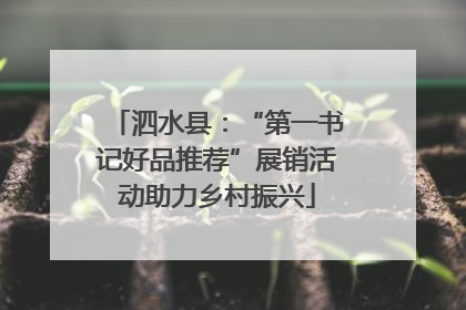 泗水县：“第一书记好品推荐”展销活动助力乡村振兴