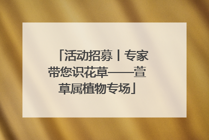 活动招募丨专家带您识花草——萱草属植物专场