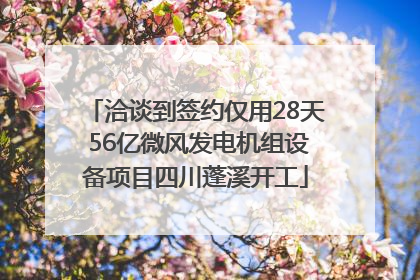 洽谈到签约仅用28天 56亿微风发电机组设备项目四川蓬溪开工