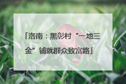 洛南：黑彰村“一地三金”铺就群众致富路