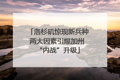 洛杉矶惊现新兵种 两大因素引爆加州“内战”升级