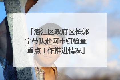 洛江区政府区长郭宁带队赴河市镇检查重点工作推进情况