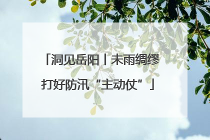 洞见岳阳丨未雨绸缪 打好防汛“主动仗”