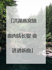 洪湖燕窝镇：血肉铸长堤 奋进谱新曲