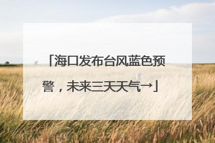 海口发布台风蓝色预警，未来三天天气→