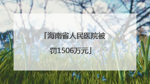海南省人民医院被罚1506万元