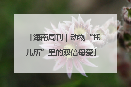 海南周刊｜动物“托儿所”里的双倍母爱