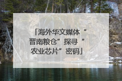 海外华文媒体“晋南粮仓”探寻“农业芯片”密码