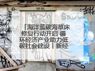 海洋蓝碳海草床修复行动开启 循环经济产业助力低碳社会建设丨新经济观察