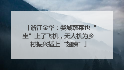 浙江金华：婺城蔬菜也“坐”上了飞机，无人机为乡村振兴插上“翅膀”