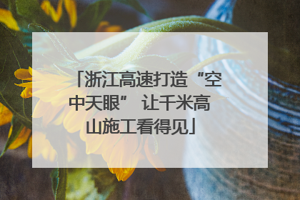 浙江高速打造“空中天眼” 让千米高山施工看得见