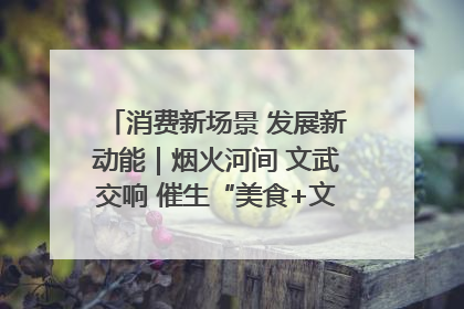 消费新场景 发展新动能｜烟火河间 文武交响 催生“美食+文化”消费新场景