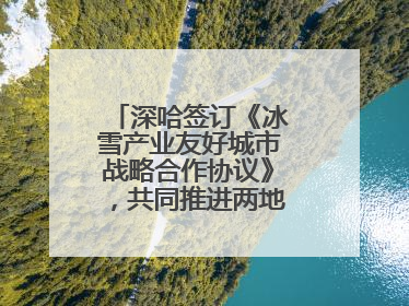 深哈签订《冰雪产业友好城市战略合作协议》，共同推进两地冰雪体育文化旅游高质量发展
