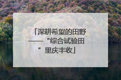 深耕希望的田野——“综合试验田”里庆丰收
