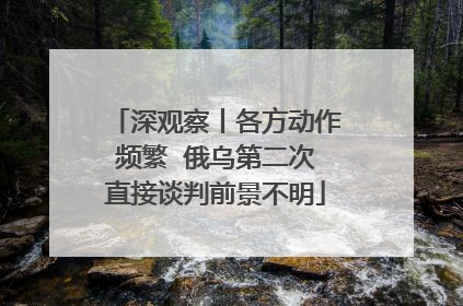 深观察丨各方动作频繁  俄乌第二次直接谈判前景不明