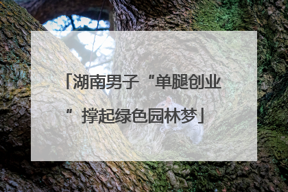 湖南男子“单腿创业”撑起绿色园林梦