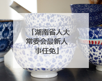 湖南省人大常委会最新人事任免