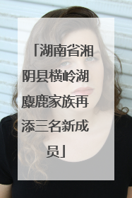 湖南省湘阴县横岭湖麋鹿家族再添三名新成员