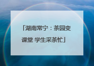 湖南常宁：茶园变课堂 学生采茶忙