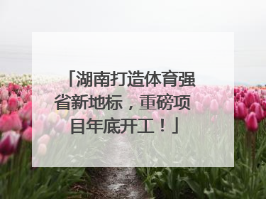 湖南打造体育强省新地标，重磅项目年底开工！