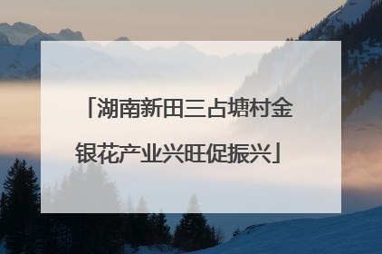 湖南新田三占塘村金银花产业兴旺促振兴