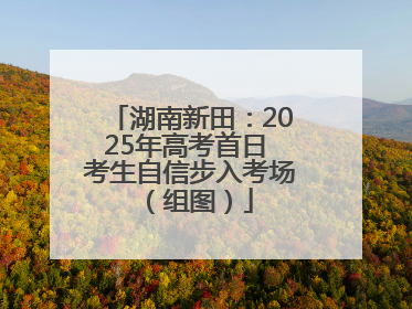 湖南新田：2025年高考首日 考生自信步入考场（组图）