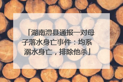 湖南澧县通报一对母子落水身亡事件：均系溺水身亡，排除他杀