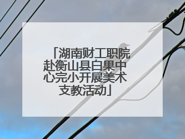 湖南财工职院赴衡山县白果中心完小开展美术支教活动