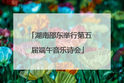 湖南邵东举行第五届端午音乐诗会