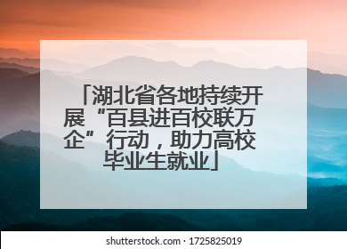 湖北省各地持续开展“百县进百校联万企”行动，助力高校毕业生就业