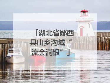 湖北省郧西县山乡沟域“流金淌银”