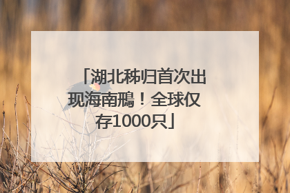 湖北秭归首次出现海南鳽！全球仅存1000只
