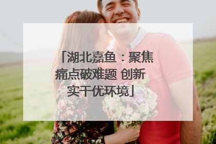 湖北嘉鱼：聚焦痛点破难题 创新实干优环境