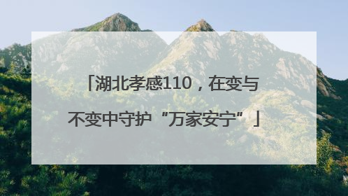 湖北孝感110，在变与不变中守护“万家安宁”
