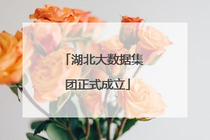 湖北大数据集团正式成立