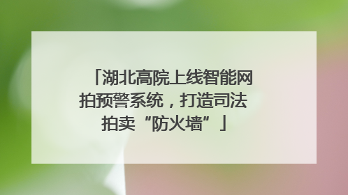 湖北高院上线智能网拍预警系统，打造司法拍卖“防火墙”