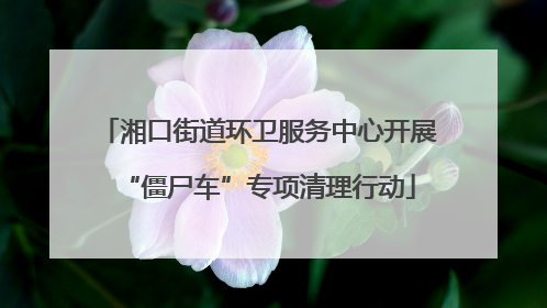 湘口街道环卫服务中心开展“僵尸车”专项清理行动