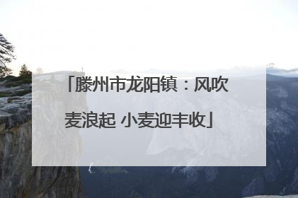 滕州市龙阳镇：风吹麦浪起 小麦迎丰收
