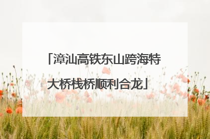 漳汕高铁东山跨海特大桥栈桥顺利合龙