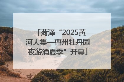 菏泽“2025黄河大集—曹州牡丹园夜游消夏季”开幕