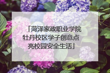 菏泽家政职业学院牡丹校区学子创意点亮校园安全生活